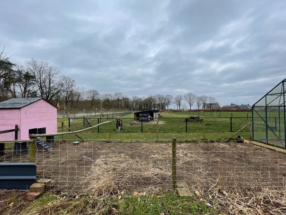 De dierenweide met het hok, gezien over het hek
