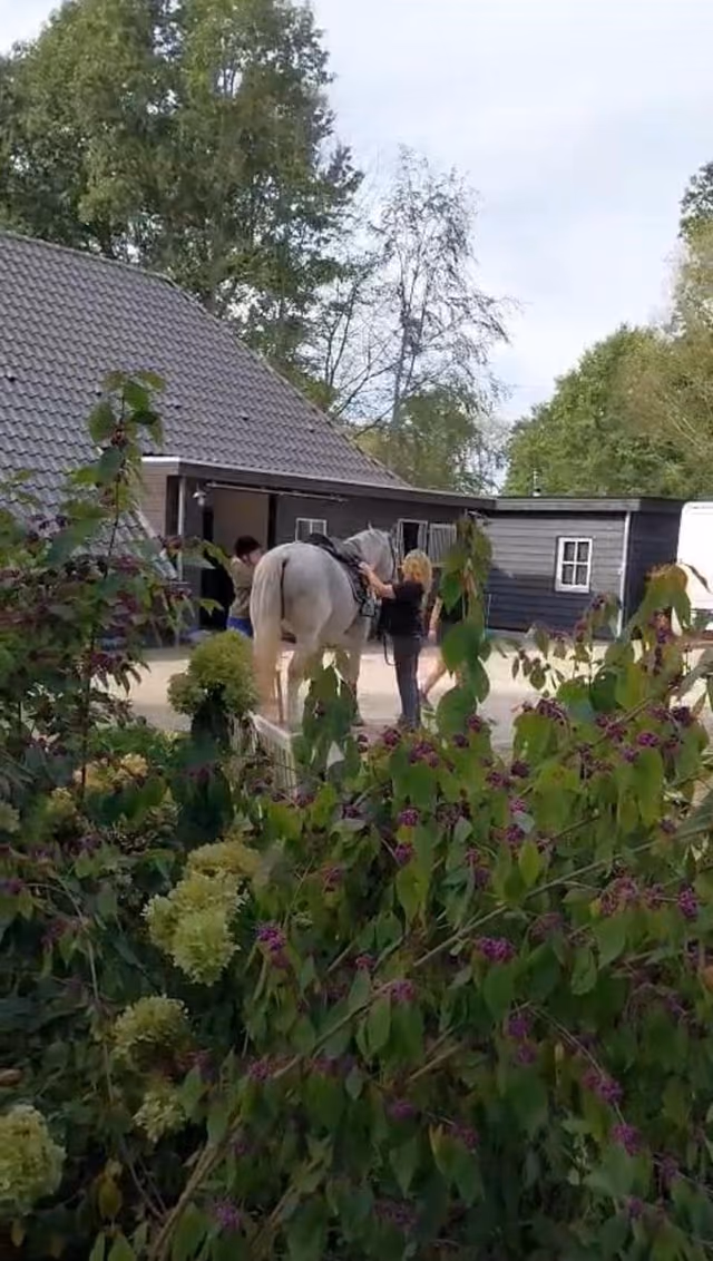 Op het erf wordt een wit paard gezadeld voor de stallen, gezien door de struiken heen