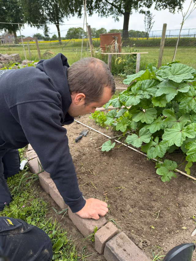 Een deelnemer wiedt onkruid tussen de pompoenplanten in de moestuin