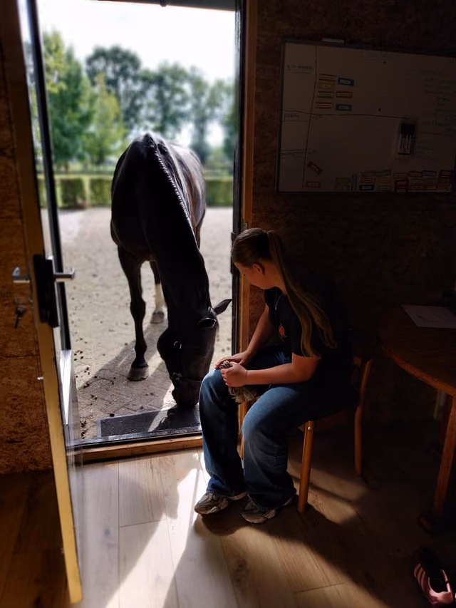 Een jongere zit in de open deur van de kantine, een paard buigt zijn hoofd naar binnen