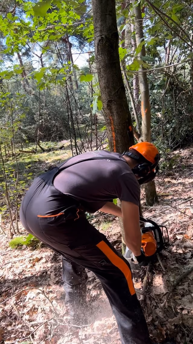 Een deelnemer zaagt met een kettingzaag in het bos